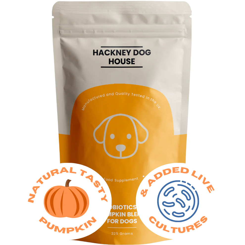 Pumpkin probiotic hot sale for dogs