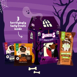 Denzel's Halloween House Gift Box (includes 3x packs of treats)